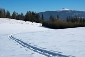 开云在线直播-世界青少年雪地徒步挑战赛在东北热情开跑，雪地徒步穿越