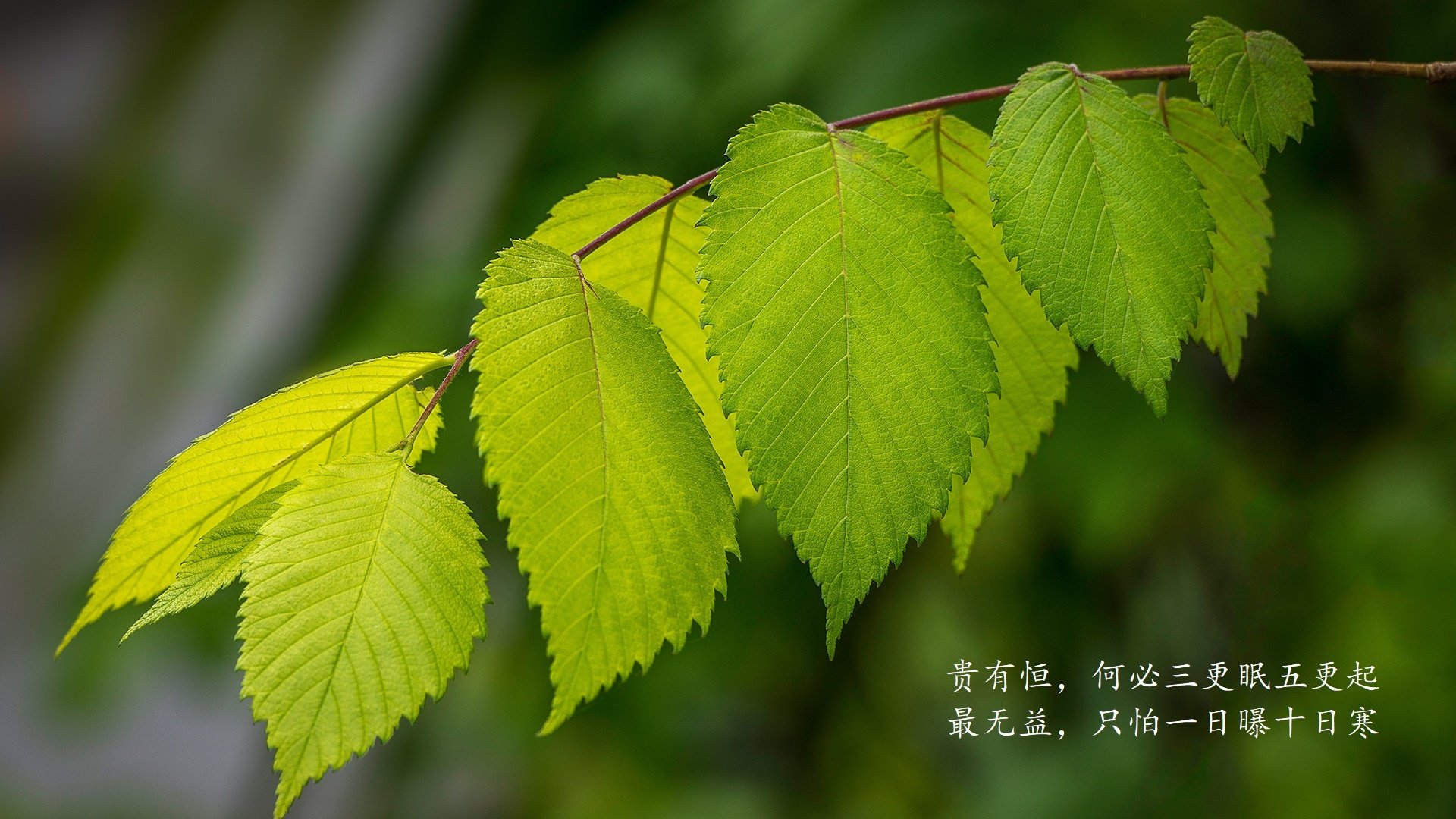 赛季转折点：关键比赛如何影响联赛走势，联赛重要还是杯赛