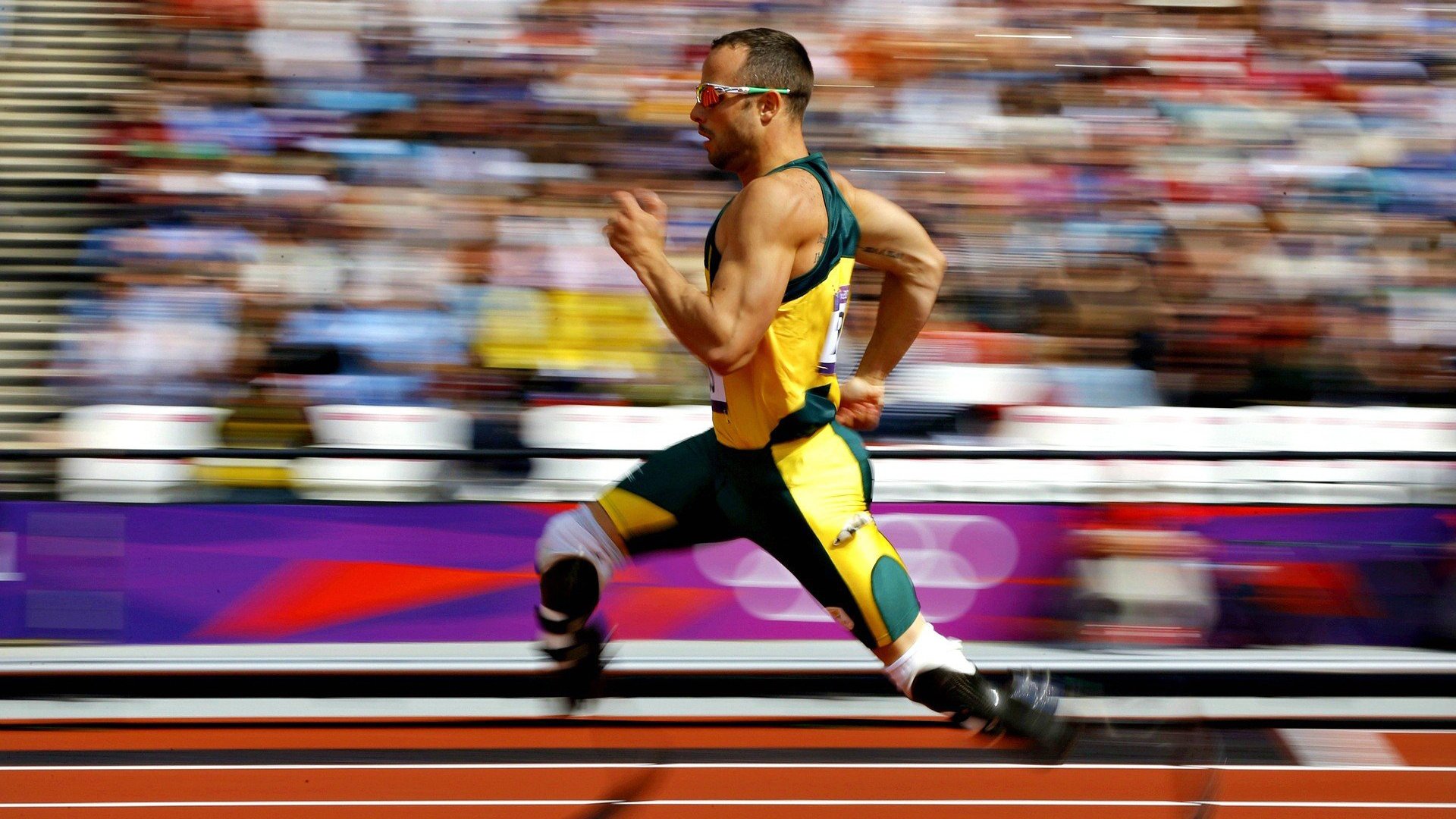 仰泳项目发挥稳定 获铜收官，仰泳示范